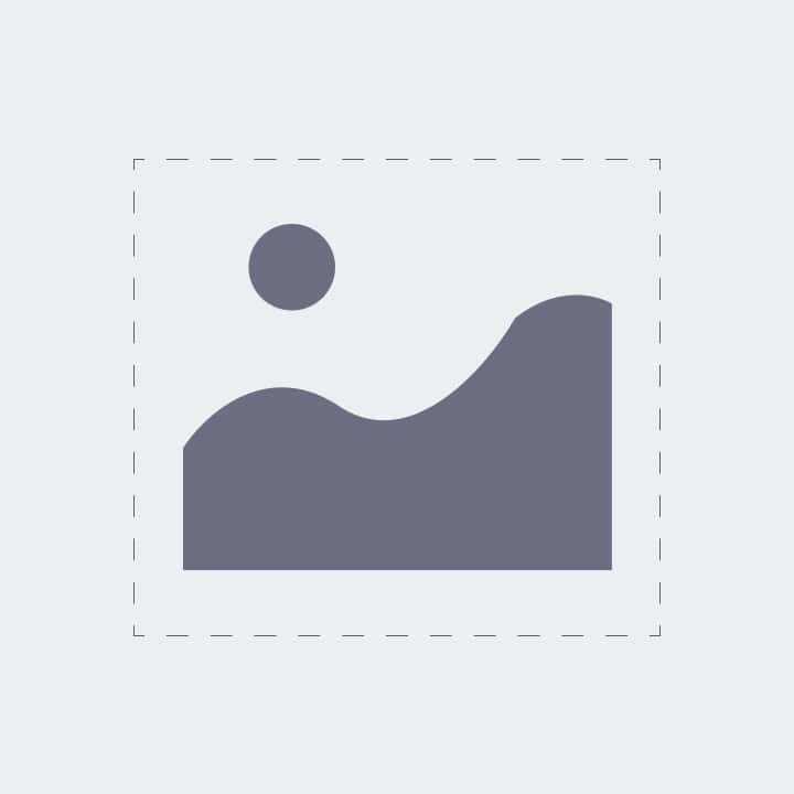 Gray vector placeholder image icon with sun and mountains on a light gray background.