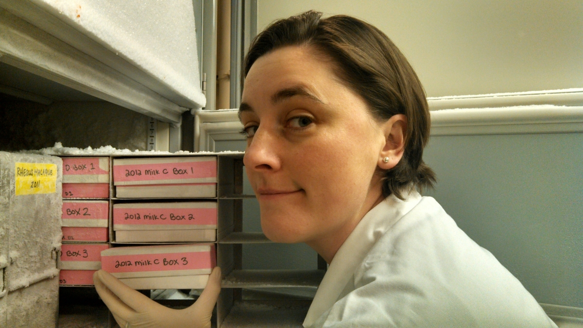 Lab technician organizing labeled sample boxes in a cold freezer, handling archived 2012 milk samples.