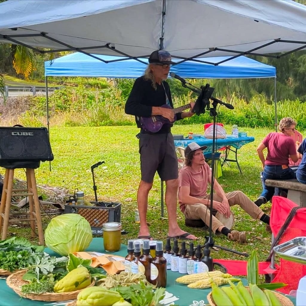 Hawaiian Acres Farmers market with live music as a Benedick performs ukulele beside tables of fresh vegetables, herbs, and local goods