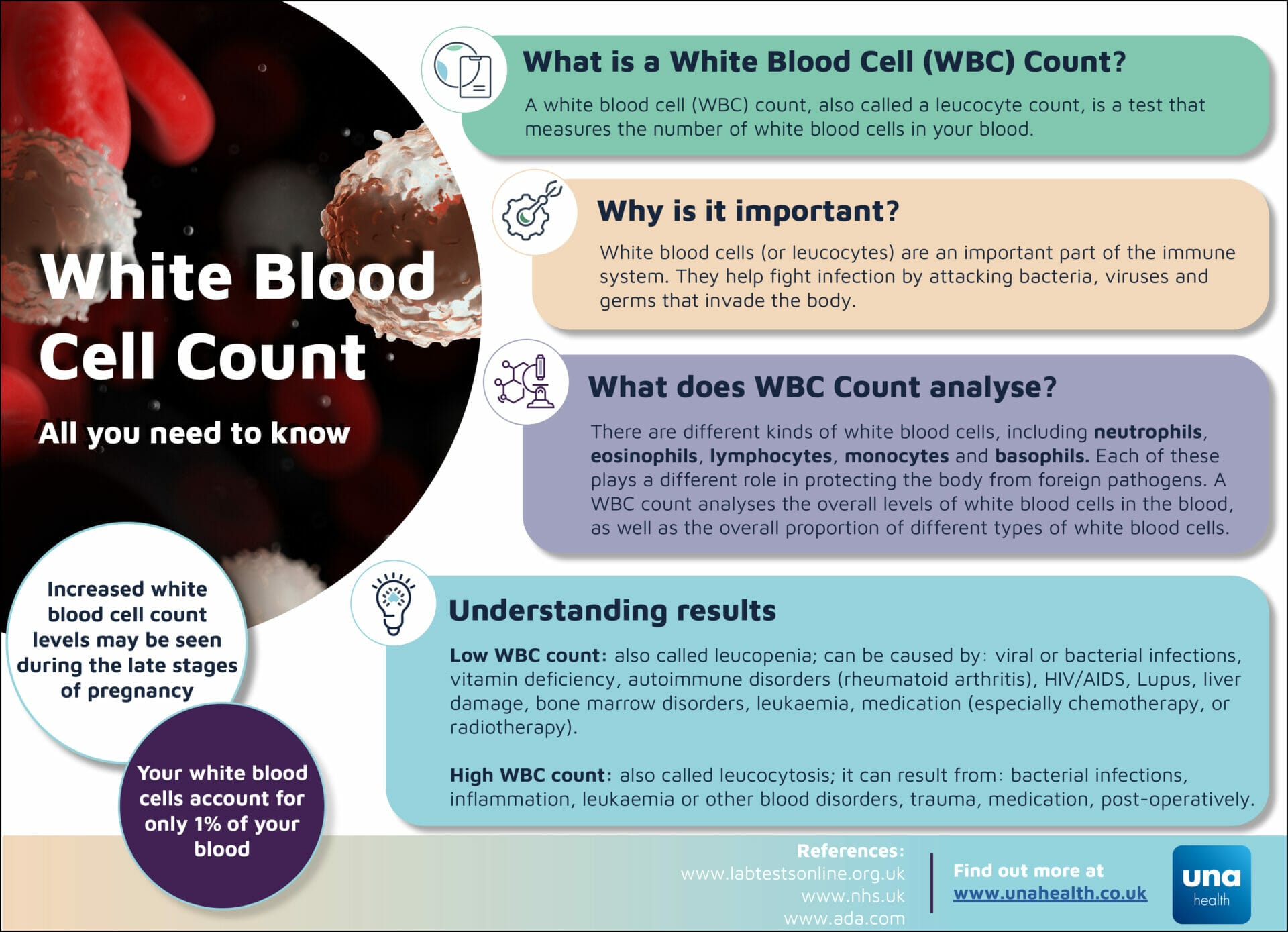 Infographic explaining white blood cell count, importance, analysis types, and low/high WBC results.