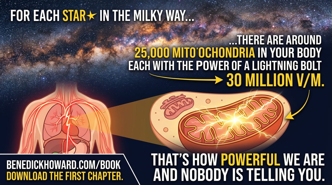 Cellular voltage across mitochondrial membranes, on the scale of a lightning bolt